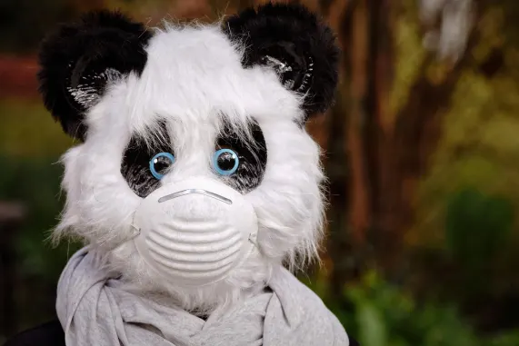 Casino Eight Storm Tugi